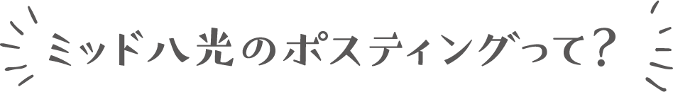 ミッド八光のポスティングって？